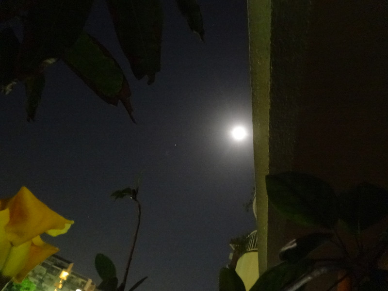 Dsc09494