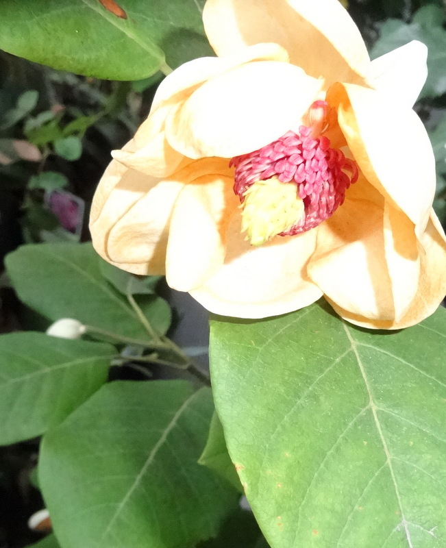 1dsc09506