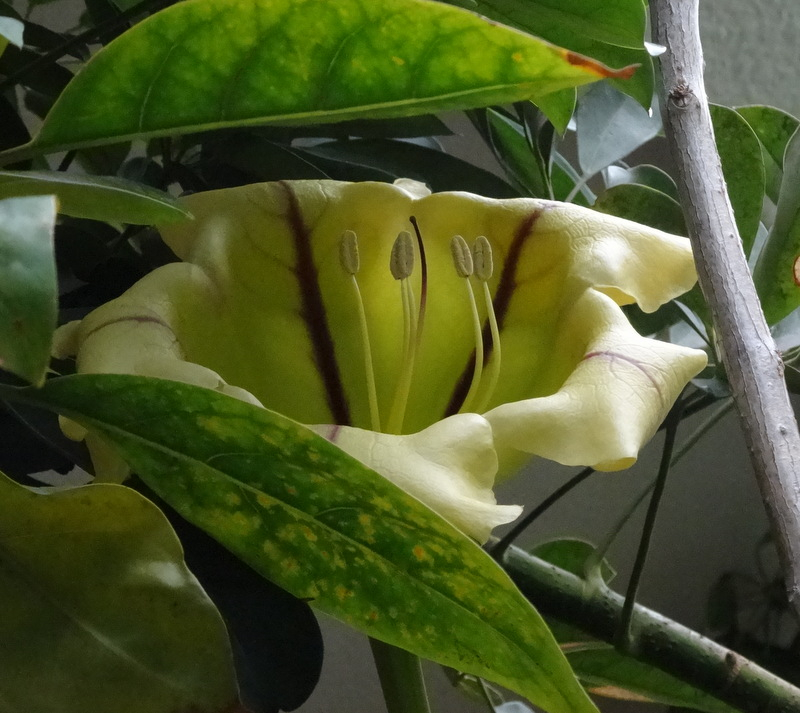 1dsc09515