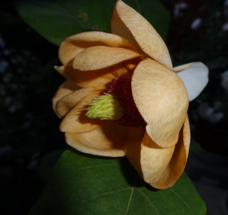 1dsc09552