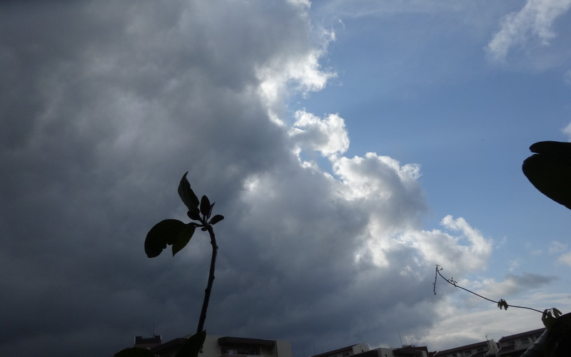 1dsc09566