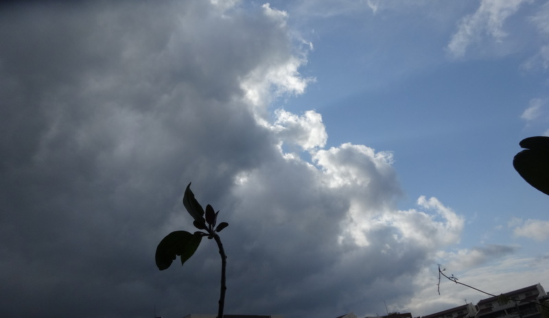 1dsc09567