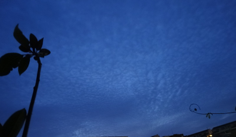 1dsc09755001 1dsc09755001