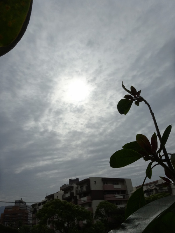 Dsc09772001 Dsc09772001