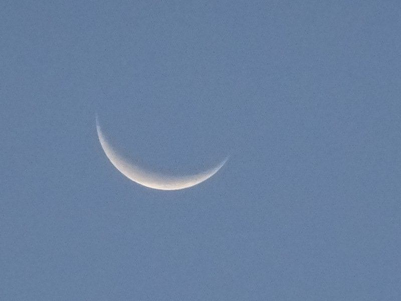 04dsc02939_2