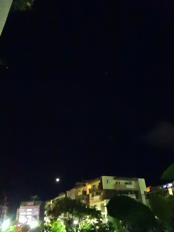 08dsc02928001