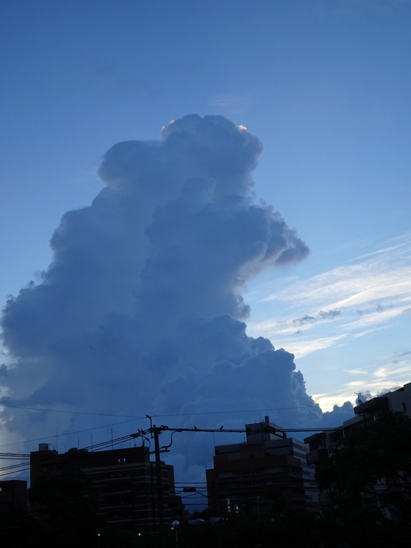 09dsc02944