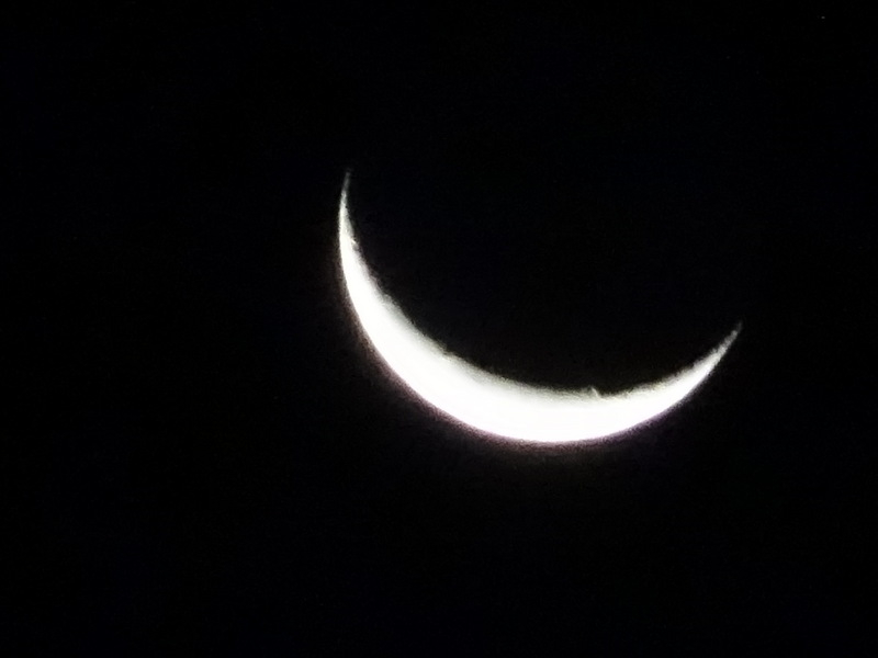 10dsc02931001