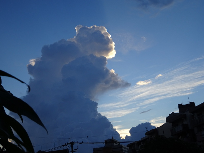 18dsc02953