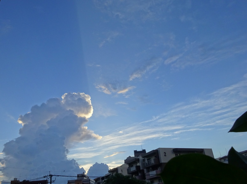 1dsc02959