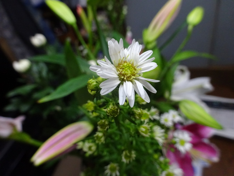 1dsc03065_2