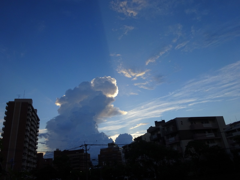 26dsc02961