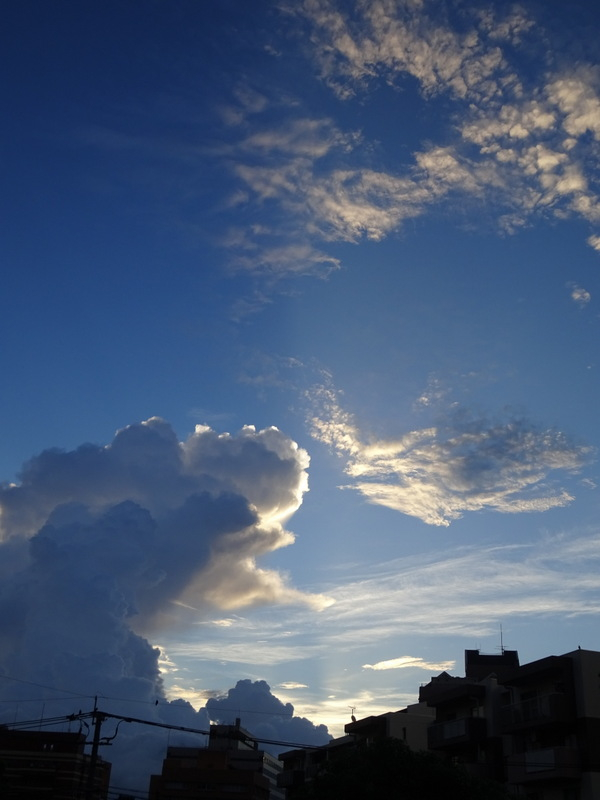 33dsc02968