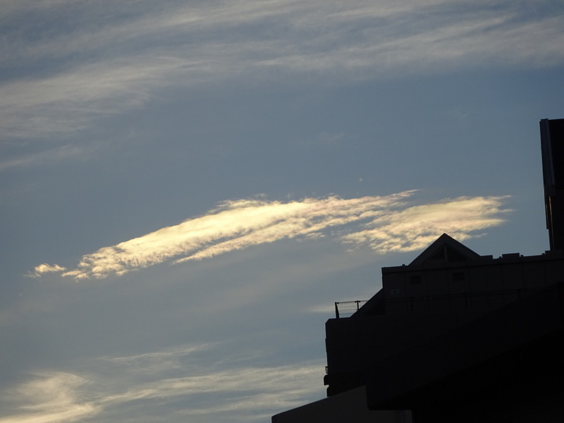 35dsc02970
