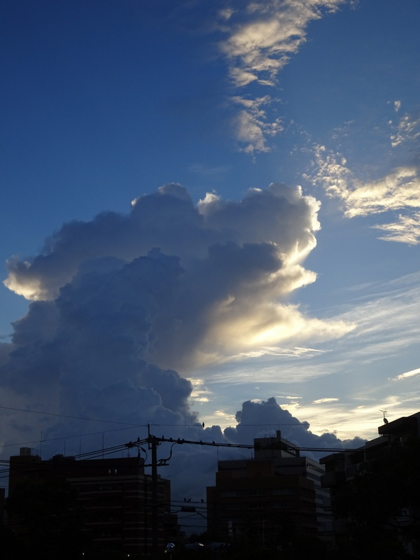 36dsc02971