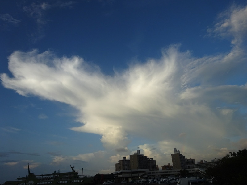 39dsc02974
