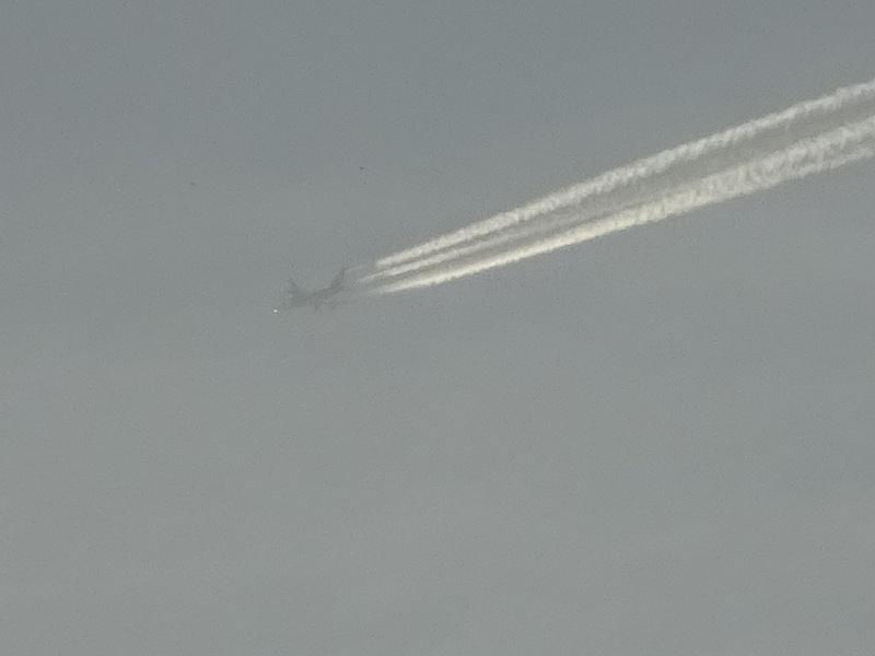 54dsc02989