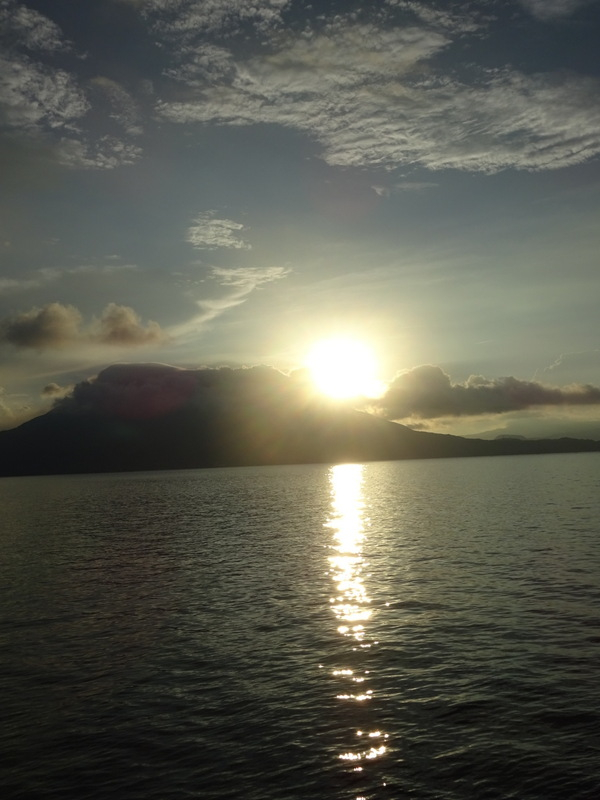 84dsc03019_3
