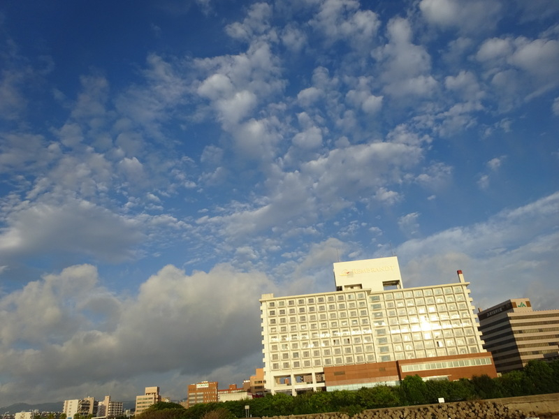 93dsc03028
