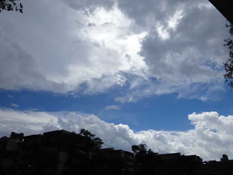 Dsc03038