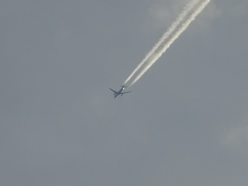 1dsc03128
