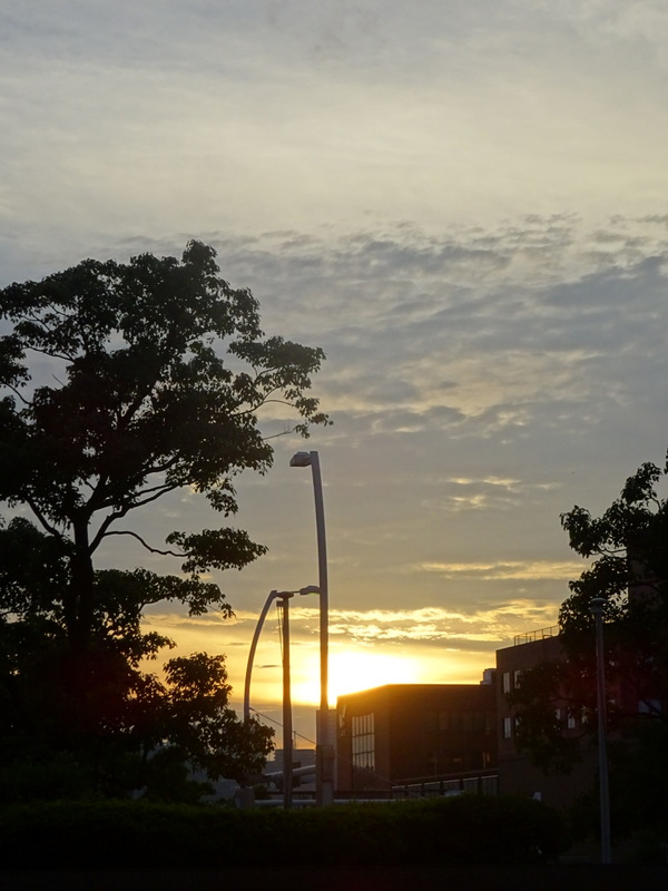 1dsc03164