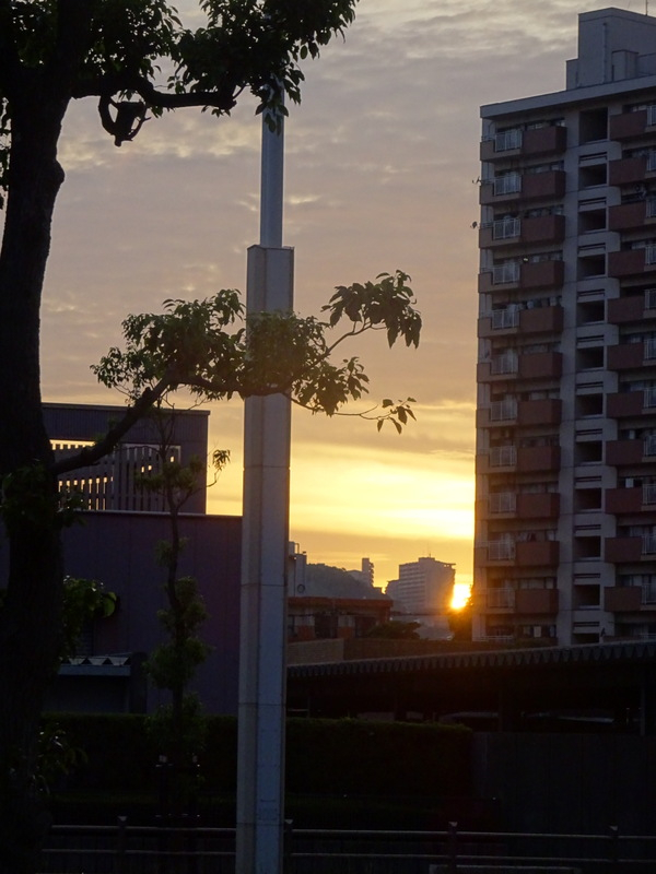 1dsc03174