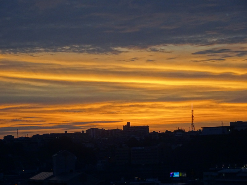 1dsc03182