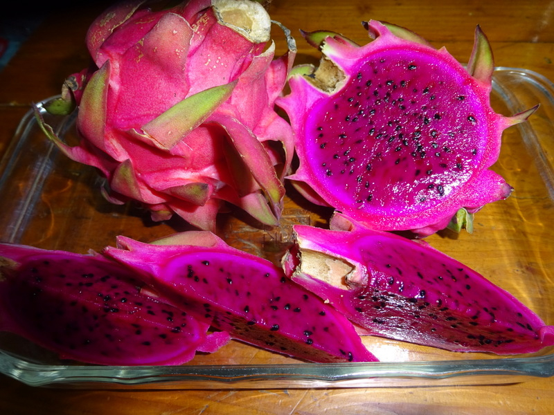 02dsc03192