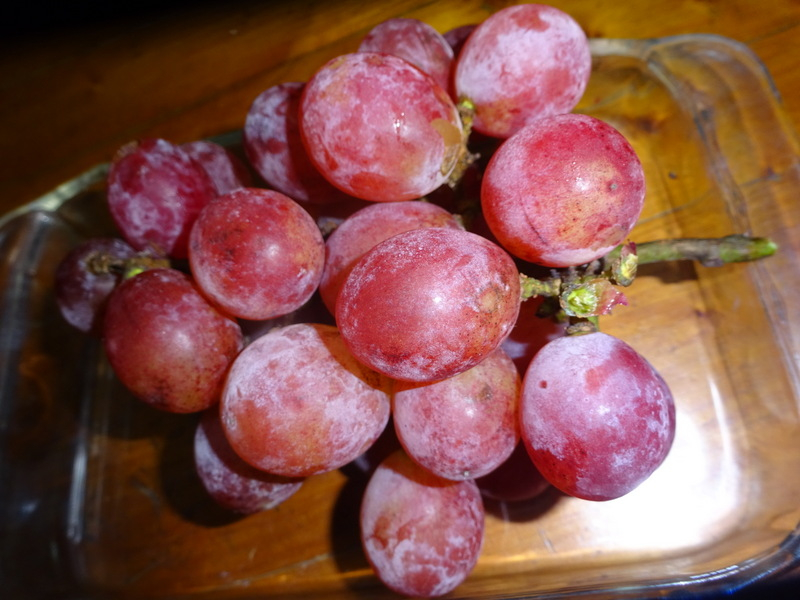05dsc03195