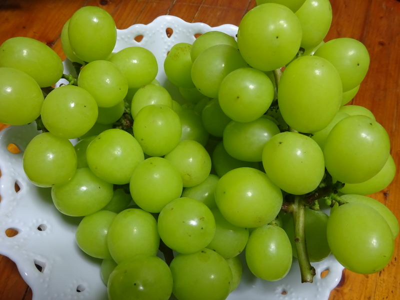 11dsc03203