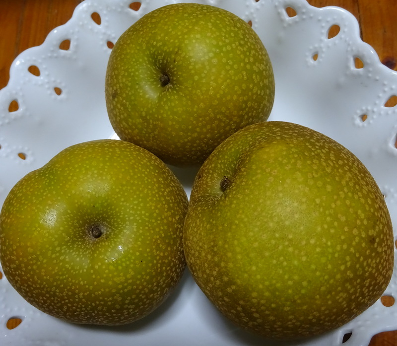 1dsc03198