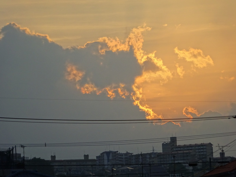 1dsc03278