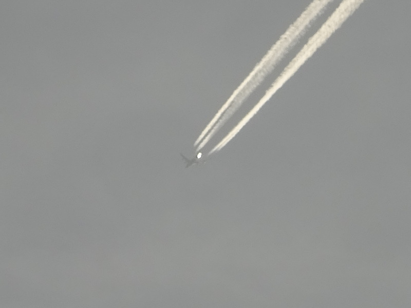 1dsc03251