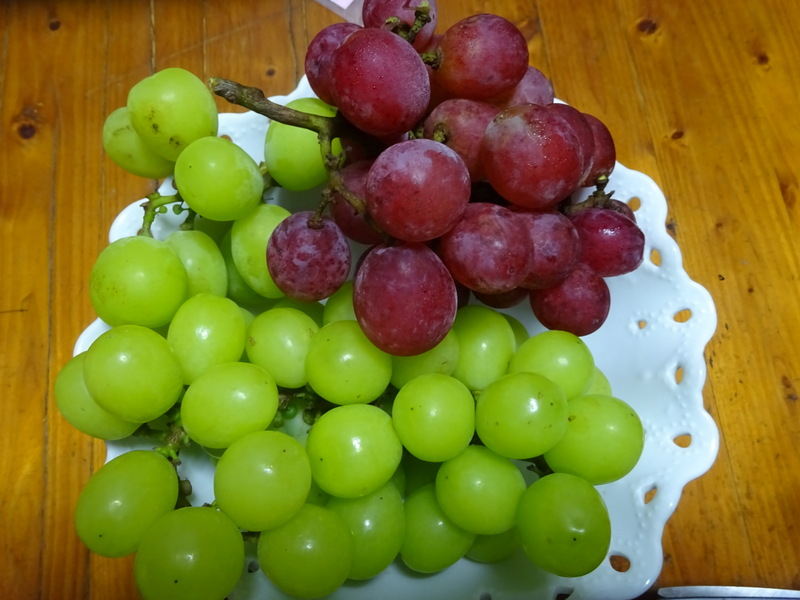 07dsc03199