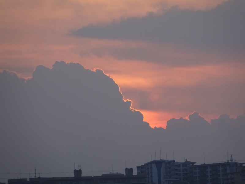 25dsc03324
