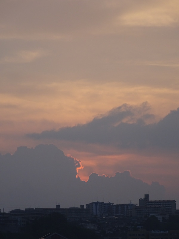 32dsc03334
