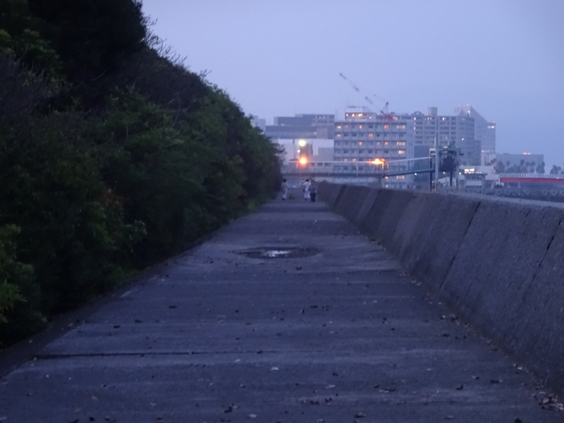 36dsc03338