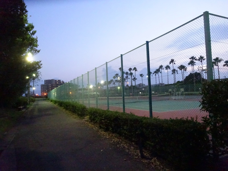 37dsc03339
