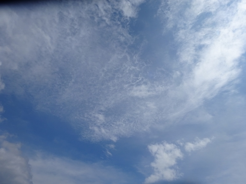 1dsc03439