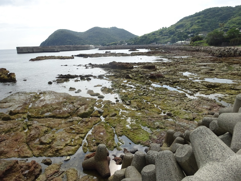 1dsc03454