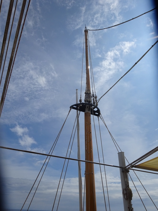 1dsc03432