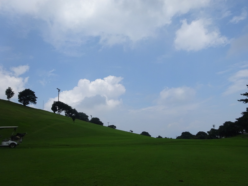 1dsc03538