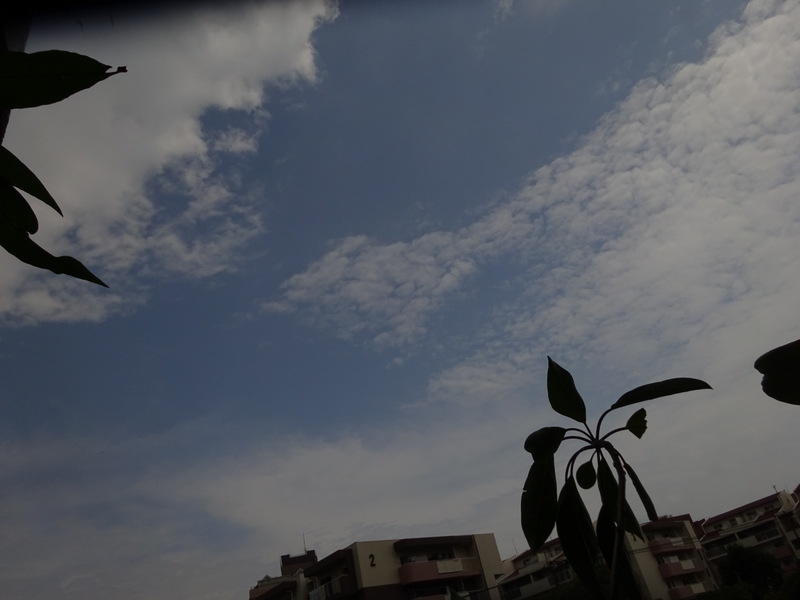 1dsc03610_2