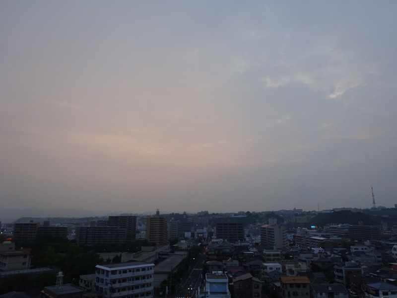 1dsc03617