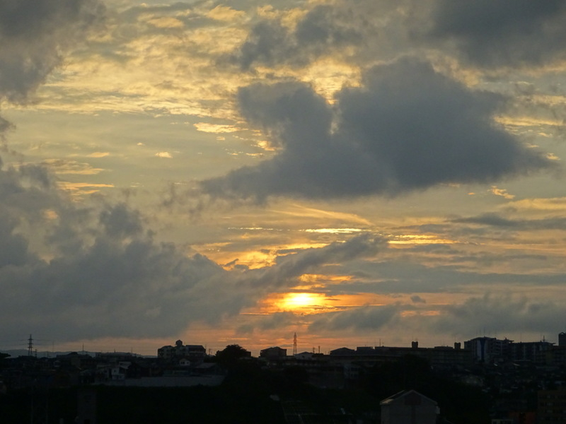 1dsc03661