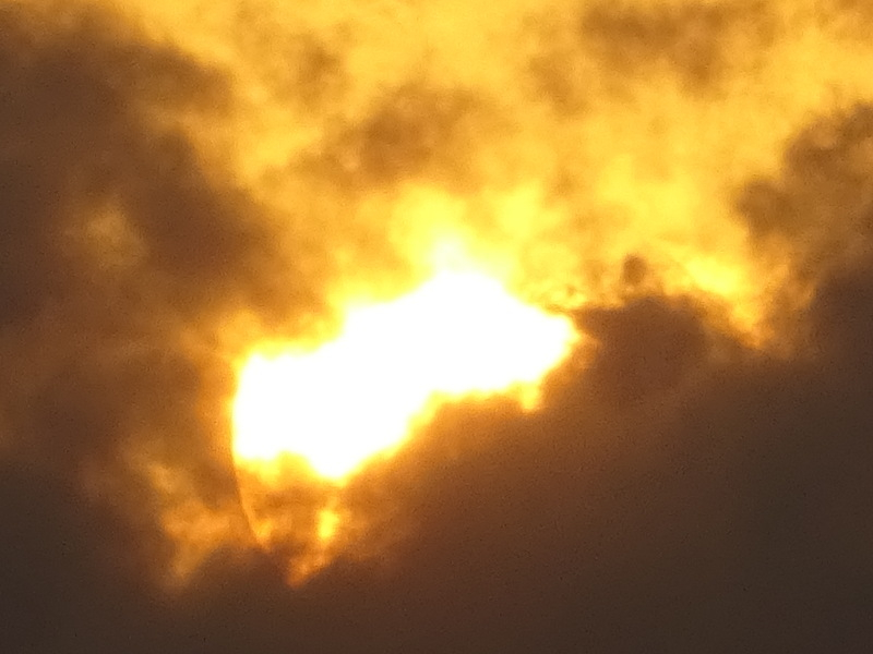 1dsc03669
