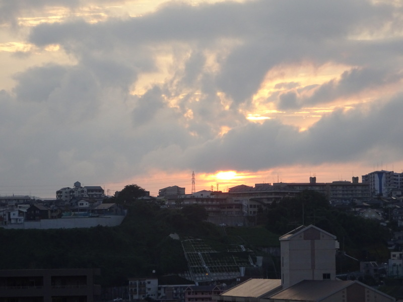 1dsc03675