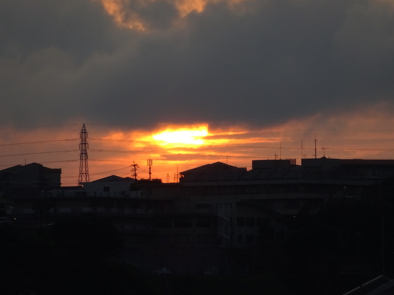 1dsc03677