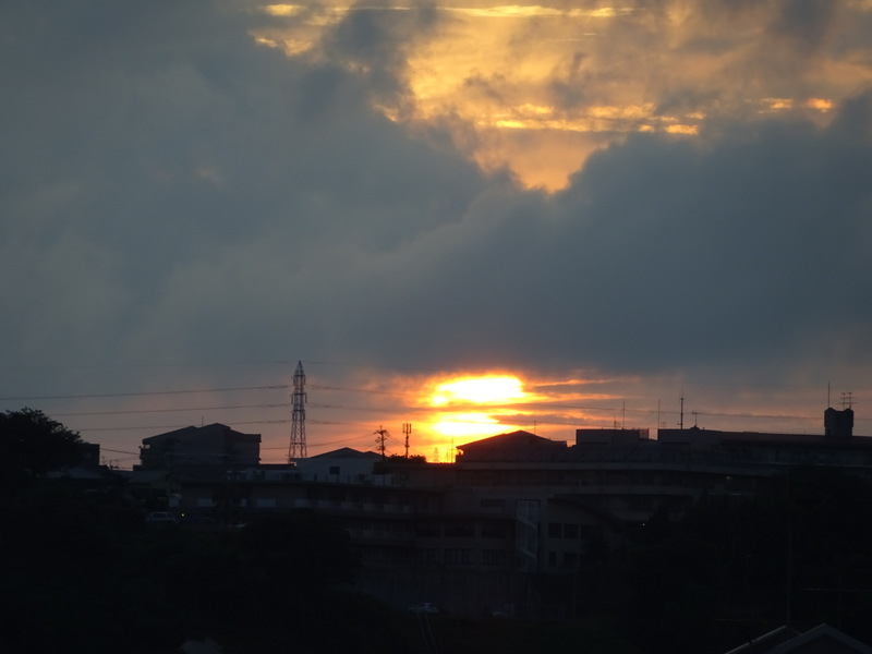 1dsc03680